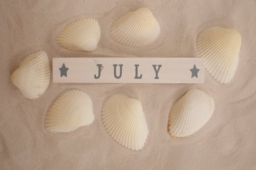 july  sand  seashells