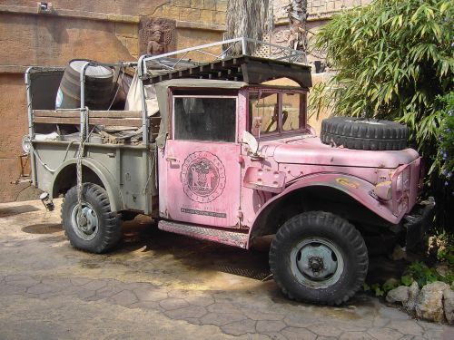 jungle car pink