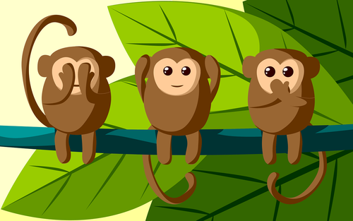 jungle  monkey  three