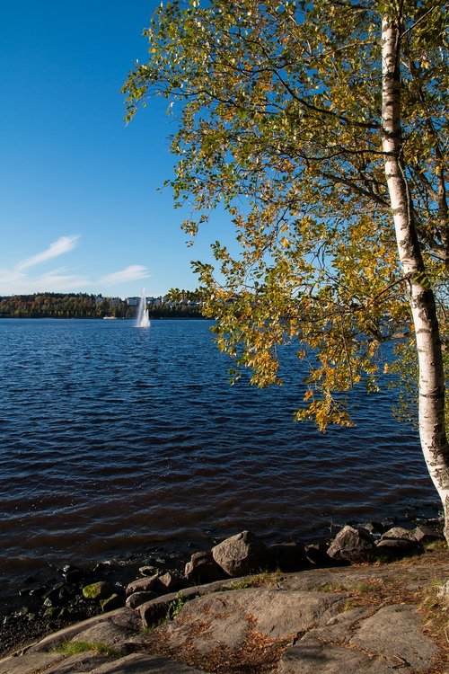 jyväskylä  jyväsjärvi  central finland