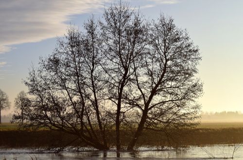 kahl winter twilight