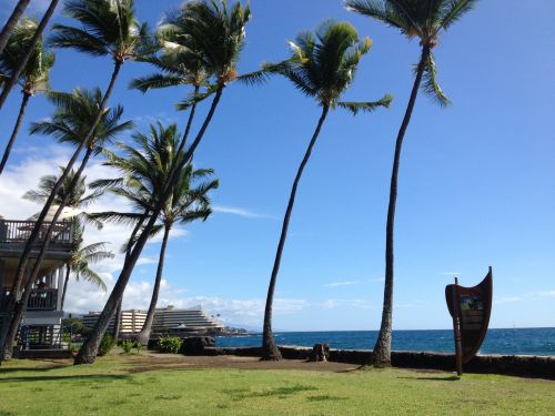 Kailua Kona Hawaii 2