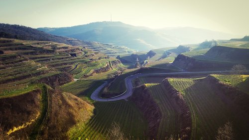 kaiserstuhl  vineyard  landscape
