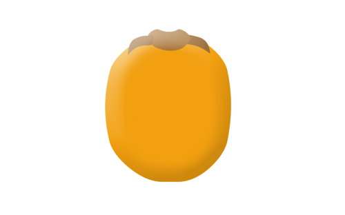 kaki fruit vector