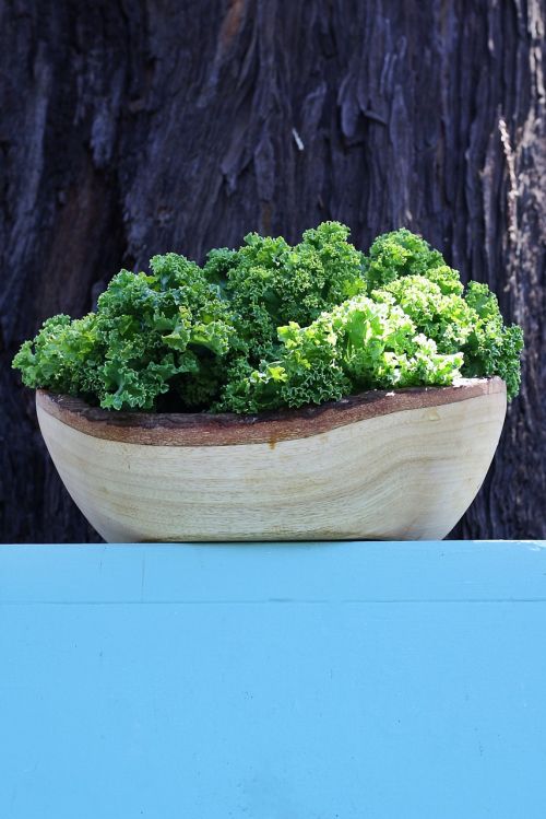 kale vegetable bowl