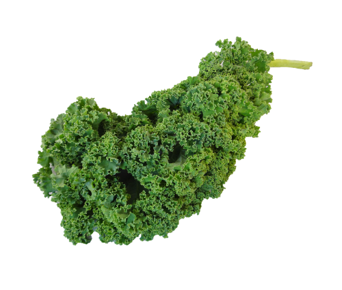 kale green kale vegetable