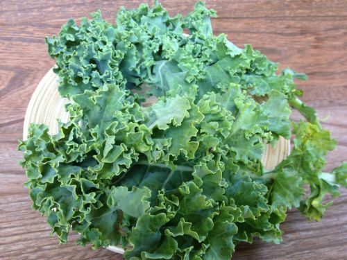 kale green vegetable