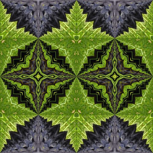 Kaleidoscope Grass