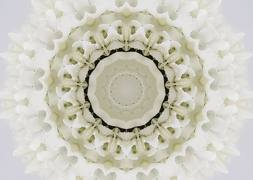 kaleidoscope  flower  bridal