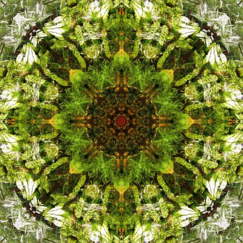 kaleidoscope digital art pattern