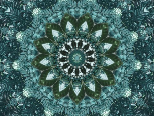 Kaleidoscope Background From Ferns