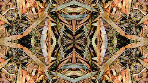 Kaleidoscope Leaves Background 3