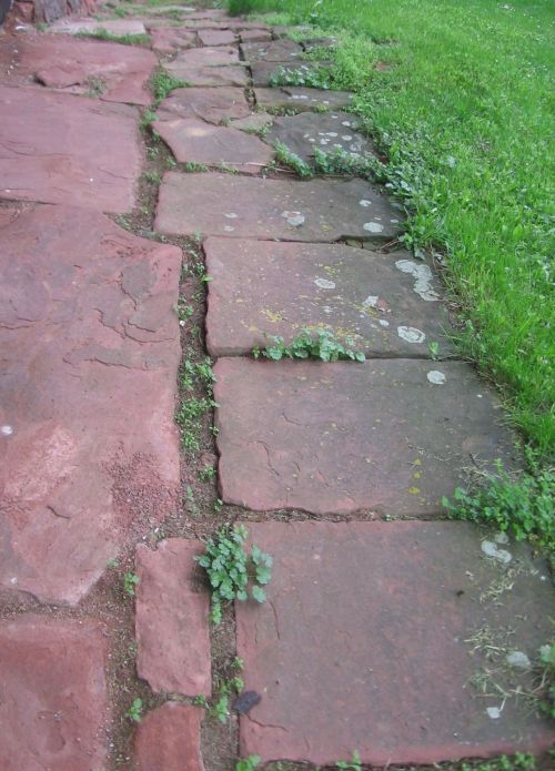 Stone Walkway