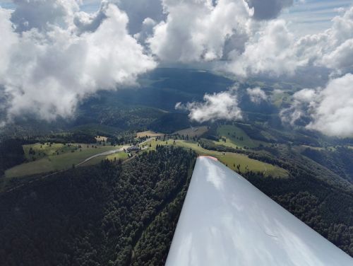 kandel from the glider black forest
