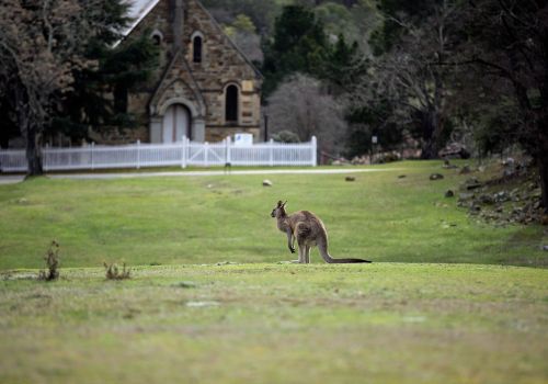 kangaroo church architecture