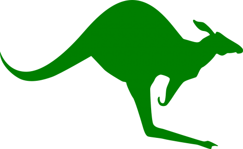 kangaroo stand jump