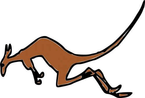 kangaroo bronze runs