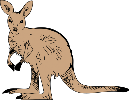 kangaroo pouch long