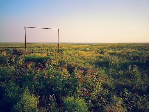 kansas prairie nature