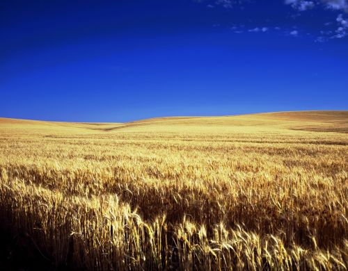 kansas farm scenic