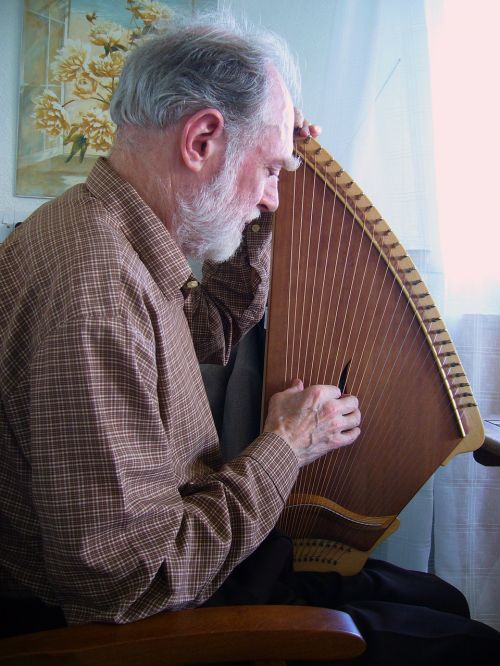 kantele musician stringed instrument