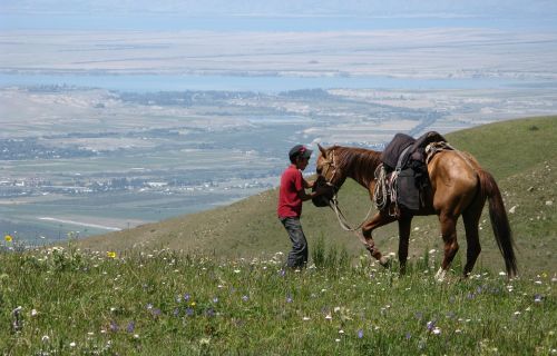 karakol kyrgyzstan horse