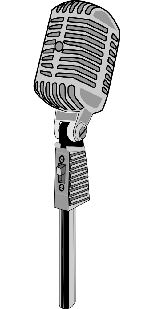 karaoke microphone mic