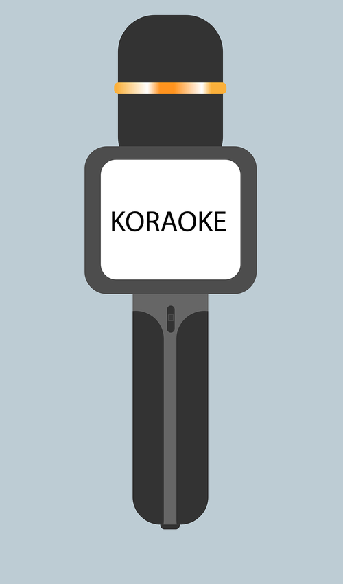 karaoke microphone  microphone  voice