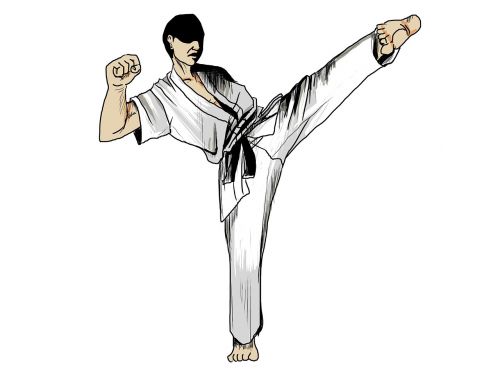 karate martial arts sports