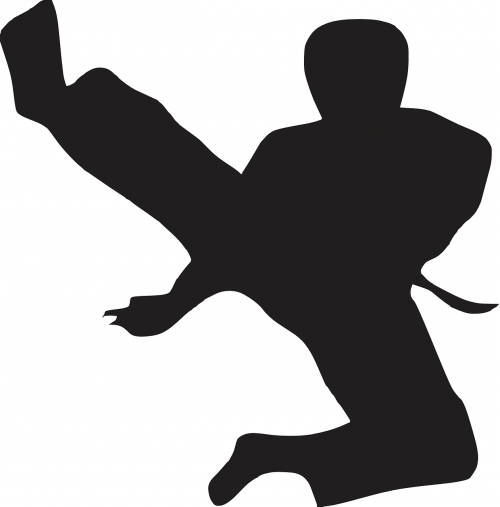 karate kick sport