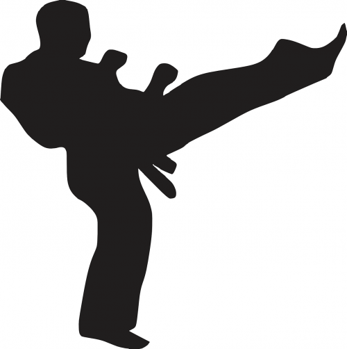 karate kick sport