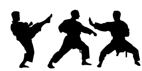karate  sport  combat