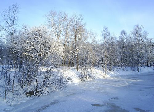 karelia nature of karelia winter