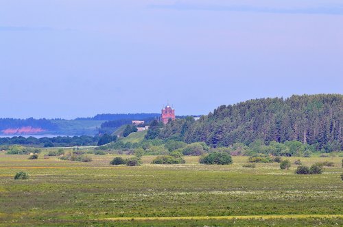 karpogory  nature  summer