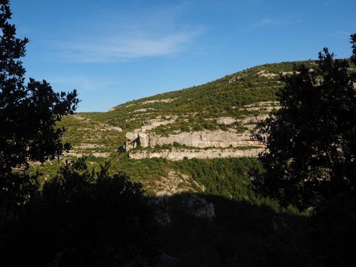 karst area karst rock