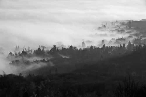 kassel fog mountain park
