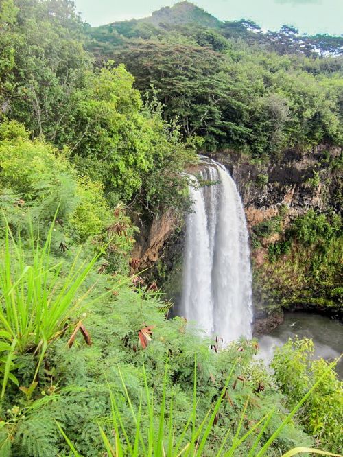 kauai hawaii waterfall