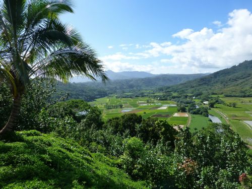 kauai hanalei hawaii