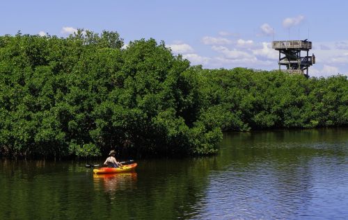 kayak observation tower river