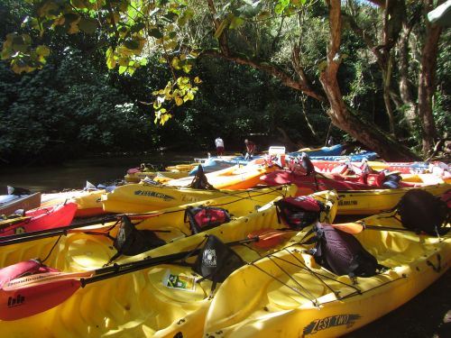 kayak river wailua river