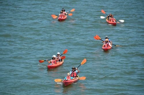 kayaks people leisure