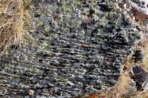 kennedy stone texture