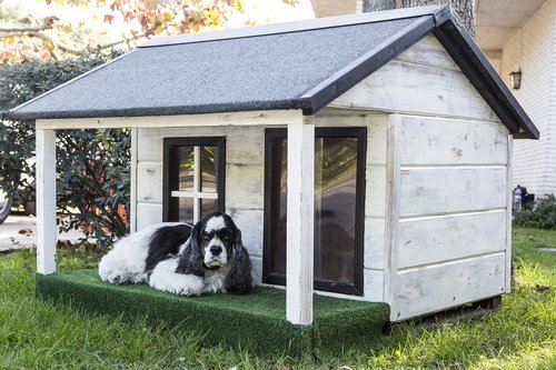 kennels for pets  dog houses  wooden houses for dogs
