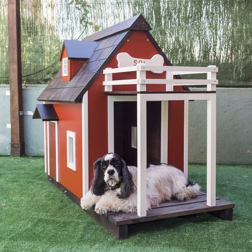 kennels for pets  dog houses  wooden houses for dogs