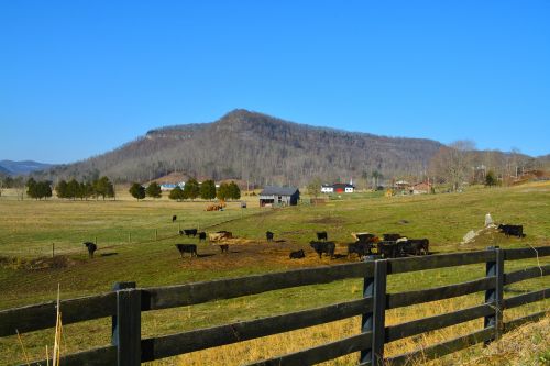 kentucky farm scenic