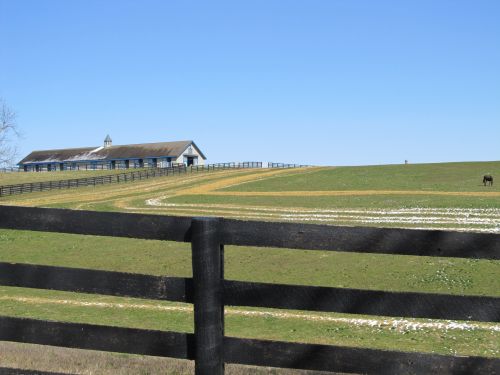 Kentucky Thoroughbred Horse Farm