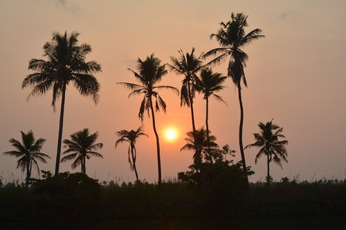 kerala  sun set  outdoor