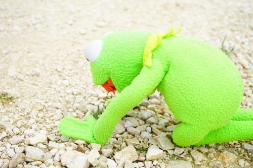 kermit frog hunger