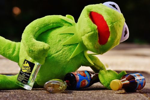 kermit frog drink