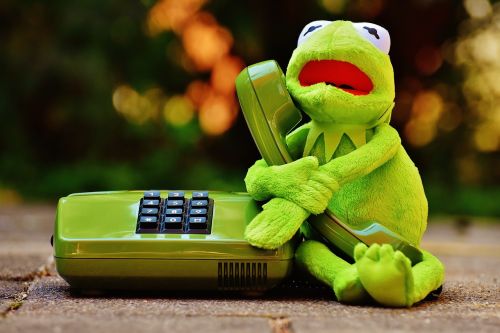 kermit frog phone